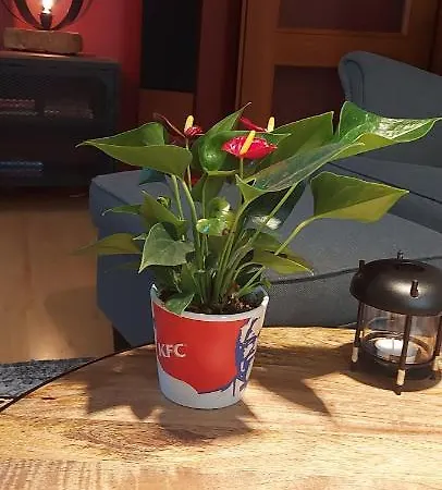 Monciak アパート ソポト